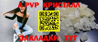 шишки Новозыбков