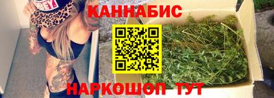 шишки Новозыбков