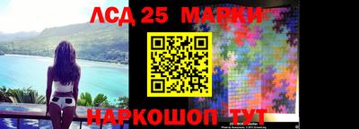 шишки Новозыбков