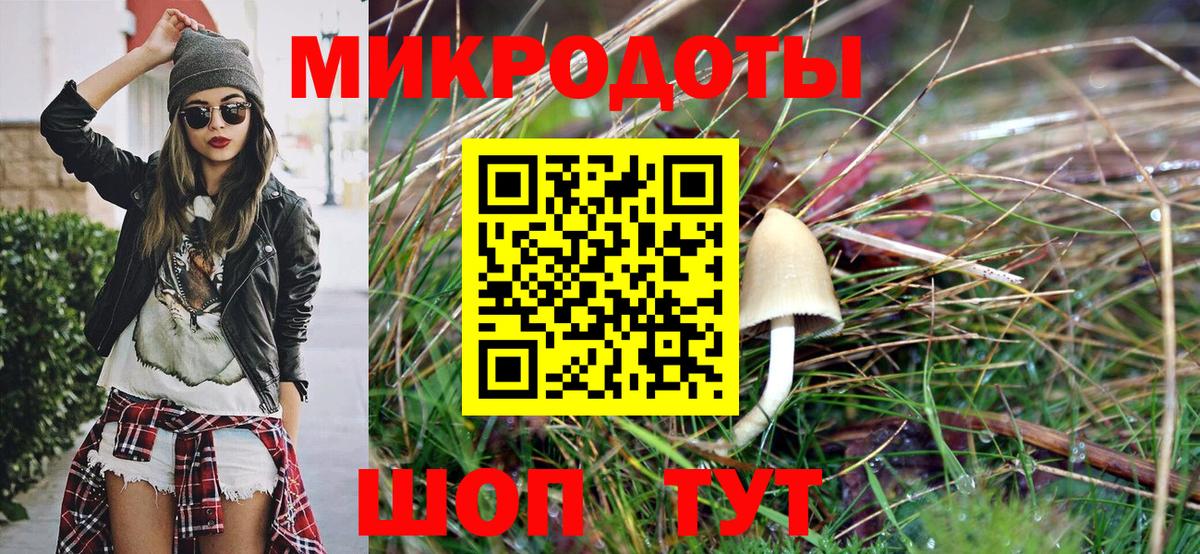 Сыктывкар  Псилоцибиновые грибы мицелий  Вход с VPN 